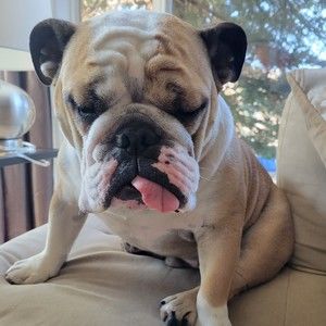 Meet your Posher, Leah